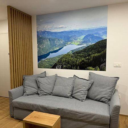 Apartma Tisa Bohinj-No Ouside Windows Buitenkant foto